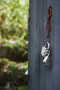 Porte ouverte sur un jardin Royalty Free Stock Photo