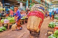 The porter pulls cart with large baskets in Wang Burapha Phirom agricultural market, Bangkok, Thailand