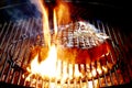 Porterhouse beef steak on the coals Royalty Free Stock Photo