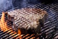 Porterhouse steak on the coals Royalty Free Stock Photo