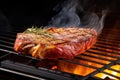 porterhouse steak on an electric grill with smoke