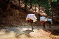 Porters carry heavy load in Himalaya, Nepal Royalty Free Stock Photo