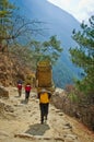 Porters carry heavy load in Himalaya, Nepal Royalty Free Stock Photo