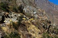 Porters Carrying Gear Near Start Of Machu Picchu Trail Peru