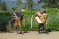 Porters carrying heavy luggage in a basket fixed with a head strap, Tumlingtar, Khandbari, Nepal Royalty Free Stock Photo