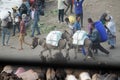Porters, donkeys and peddlers at Merkato Market, rumored to be the largest open-air market in Africa