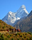 Porters in the Everest Region, Nepal