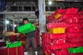 Porters at the Hon Ro seaport are loading baskets of fishes onto the truck to a local processing plant in Nha Trang city