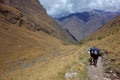 Porters on the Inca Trail