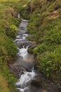 Porth nanven spring