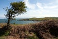 Porth Wen Royalty Free Stock Photo