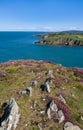 Porth Wen coastline Royalty Free Stock Photo
