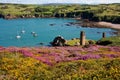 Porth Wen ol brick works Royalty Free Stock Photo