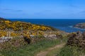 Porth Wen Royalty Free Stock Photo