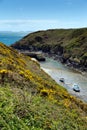 Porthclais Pembrokeshire West Wales