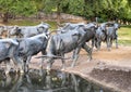 Portion of bronze steer sculpture in Pioneer Plaza in Dallas, Texas.