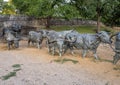 Portion of bronze steer sculpture in Pioneer Plaza in Dallas, Texas. Royalty Free Stock Photo