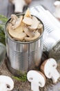 Portion of canned Mushrooms