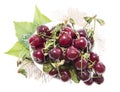 Portion of Cherries on white