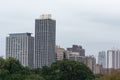 Chicago Skyline viewed from Lincoln Park during Autumn Royalty Free Stock Photo