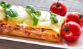 Portion of classic lasagne Royalty Free Stock Photo