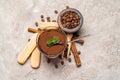 Portion of Classic tiramisu dessert in a glass cup, scoop full of coffee and cinnamon sticks on concrete background Royalty Free Stock Photo