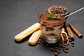 Portion of Classic tiramisu dessert in a glass cup, scoop full of coffee and cinnamon sticks on dark concrete background