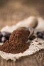 Portion of Cocoa powder Royalty Free Stock Photo