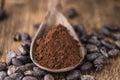 Portion of Cocoa powder Royalty Free Stock Photo