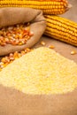 Portion of Cornmeal on rustic background Royalty Free Stock Photo