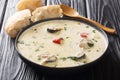 Portion of creamy fish soup with eel, vegetables and herbs close-up on the table. horizontal Royalty Free Stock Photo