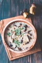 Portion of creamy mushroom soup Royalty Free Stock Photo