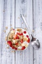 Portion of crunchy Yoghurt Royalty Free Stock Photo