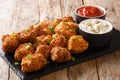 Portion Deep-fried chicken nuggets in coconut flakes served with ketchup and mayonnaise close-up on a slate board. horizontal