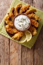 Portion of deep-fried golden avocado in breading with sauce and Royalty Free Stock Photo