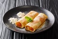 Portion of delicious crepes with apricot filling and powdered sugar close-up in a plate. horizontal