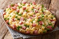 Portion of Ditalini pasta with green peas, ham and cheese closeup on a plate. horizontal