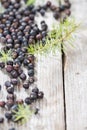Portion of dried Juniper Berries Royalty Free Stock Photo