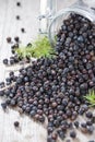 Portion of dried Juniper Berries Royalty Free Stock Photo