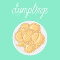 Dumplings pierogi, varenyky, pelmeni on a plate. Vector hand drawn illustration. Royalty Free Stock Photo