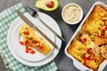 Portion of enchiladas on plate, close-up