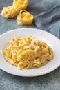 Portion of fettuccine Alfredo Royalty Free Stock Photo