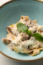 Portion of fettuccine pasta alfredo with chicken Royalty Free Stock Photo