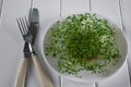 Portion of fresh Garden Cress and kitchen tools Royalty Free Stock Photo