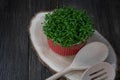 Portion of fresh Garden Cress on wooden background Royalty Free Stock Photo