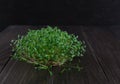 Portion of fresh Garden Cress on wooden background. Royalty Free Stock Photo