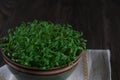 Portion of fresh Garden Cress on wooden background. Selective focus Royalty Free Stock Photo