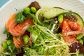 Portion of fresh gourmet salad with salmon