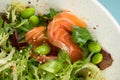 Portion of fresh gourmet salad with salmon