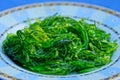 Fresh green hiyashi salad on a plate on a blue background Royalty Free Stock Photo